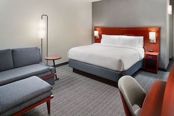 Room, 1 King Bed with Sofa bed (Mobility Accessible, Roll-in Shower)