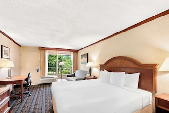 Standard Room, 1 King Bed, Non Smoking, Refrigerator & Microwave (with Sofabed)