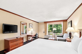 Standard Room, 1 King Bed, Non Smoking, Refrigerator & Microwave (with Sofabed)