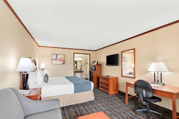 Standard Room, 1 King Bed, Non Smoking, Refrigerator & Microwave (with Sofabed)