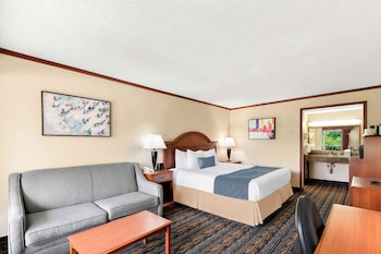 Standard Room, 1 King Bed, Non Smoking, Refrigerator & Microwave (with Sofabed)
