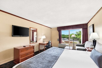 Standard Room, 1 King Bed, Non Smoking, Refrigerator & Microwave (with Sofabed)