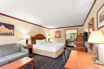 Standard Room, 1 King Bed, Non Smoking, Refrigerator & Microwave (with Sofabed)