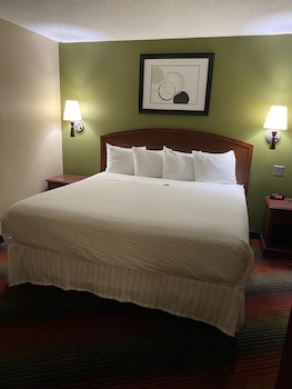Studio Suite, 1 King Bed, Non Smoking (One-Bedroom)