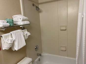 Studio Suite, 1 King Bed, Non Smoking (One-Bedroom)