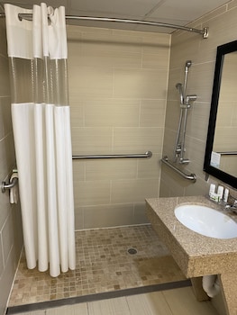 Room, 1 King Bed, Accessible, Non Smoking (Roll-In Shower)