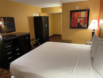 Room, 1 King Bed, Accessible, Non Smoking (Roll-In Shower)