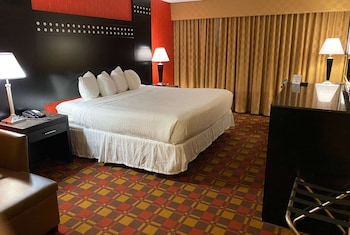 Studio Suite, 1 King Bed, Non Smoking (One-Bedroom)