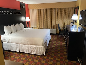 Room, 1 King Bed, Accessible, Non Smoking (Roll-In Shower)