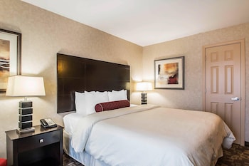 Standard Room, 1 King Bed, Non Smoking