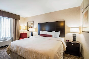 Standard Room, 1 King Bed, Non Smoking