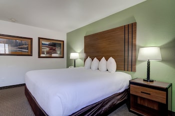 Standard Room, 1 King Bed, Non Smoking, Mountain View