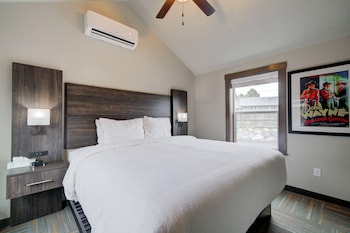 Cabin, 1 King Bed, Mountain View