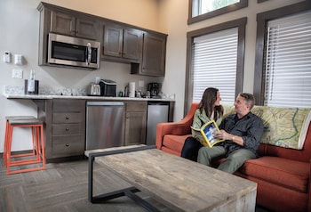 Cabin, 1 King Bed, Mountain View