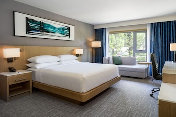 Room, 1 King Bed (Mobility Accessible, Roll-in Shower)