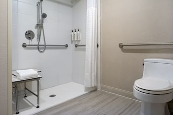 Room, 1 King Bed (Mobility Accessible, Roll-in Shower)