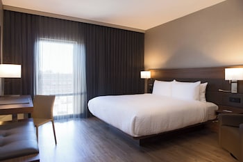 Room, 1 King Bed