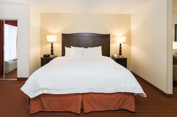 Suite, 1 King Bed with Sofa bed, Non Smoking