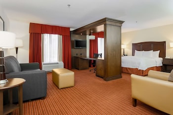 Room, 1 King Bed (Whirl Pool Tub)