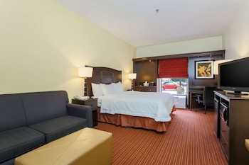 Studio, 1 King Bed with Sofa bed, Non Smoking