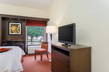 Room, 1 Queen Bed, Accessible, Bathtub (Mobility & Hearing)