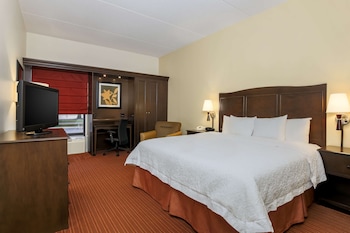 Room, 1 King Bed, Non Smoking
