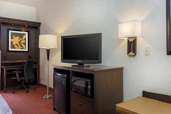 Room, 1 King Bed with Sofa bed, Microwave (Mini-Fridge)