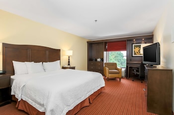 Room, 1 King Bed, Non Smoking (Hearing)