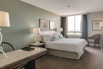 Room, 1 King Bed