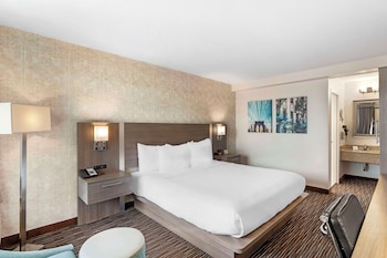 Standard Room, 1 King Bed, Non Smoking