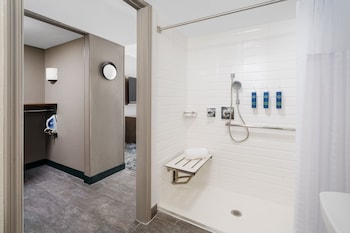 Room, 1 Double Bed (Mobility Accessible, Roll-In Shower)