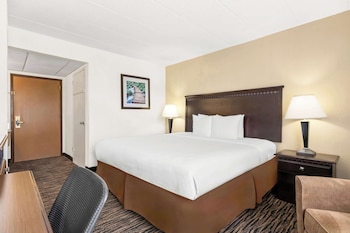 Standard Room, 1 King Bed, Non Smoking