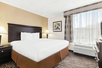Standard Room, 1 King Bed, Non Smoking