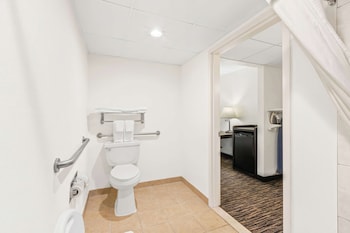 Standard Room, 1 King Bed, Accessible, Non Smoking