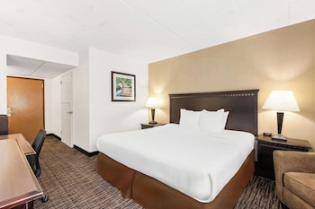 Standard Room, 1 King Bed, Accessible, Non Smoking
