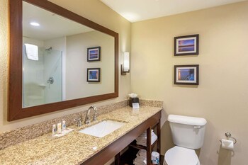 Suite, 1 King Bed with Sofa bed, Non Smoking (2 Person Sofa bed)