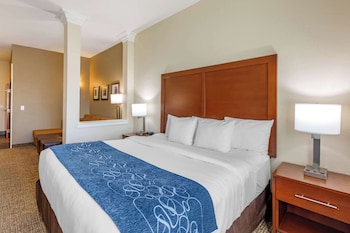 Suite, 1 King Bed with Sofa bed, Accessible, Non Smoking