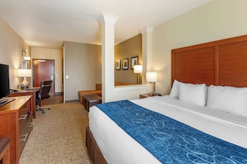 Suite, 1 King Bed with Sofa bed, Non Smoking (2 Person Sofa bed)