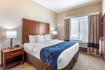 Suite, 1 King Bed with Sofa bed, Accessible, Non Smoking