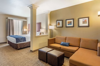 Suite, 1 King Bed with Sofa bed, Non Smoking, Jetted Tub