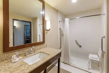 Suite, 1 King Bed with Sofa bed, Accessible, Non Smoking