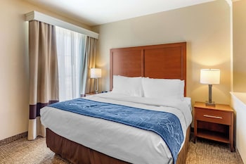 Suite, 1 King Bed with Sofa bed, Non Smoking, Jetted Tub