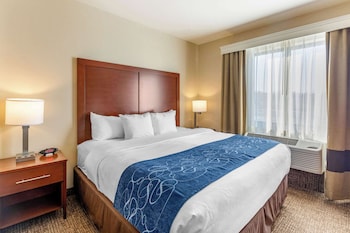 Suite, 1 King Bed with Sofa bed, Non Smoking (2 Person Sofa bed)
