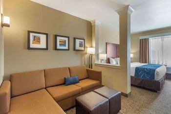 Suite, 1 King Bed with Sofa bed, Accessible, Non Smoking