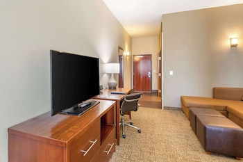 Suite, 1 King Bed with Sofa bed, Accessible, Non Smoking