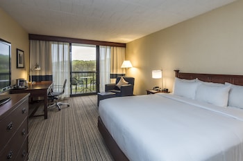 Room, 1 King Bed, Balcony