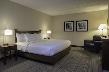 Studio Suite, 1 King Bed with Sofa bed, Non Smoking (Studio)