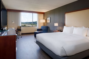 Room, 1 King Bed