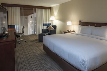Room, 1 King Bed