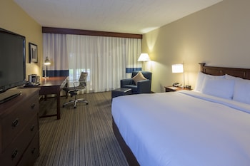Room, 1 King Bed